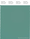 PANTONE SMART 16-5515X Color Swatch Card, Beryl Green