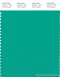 PANTONE SMART 16-5533X Color Swatch Card, Arcadia