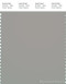 PANTONE SMART 16-5803X Color Swatch Card, Flint Gray