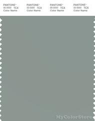 PANTONE SMART 16-5804X Color Swatch Card, Slate Gray