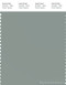 PANTONE SMART 16-5804X Color Swatch Card, Slate Gray