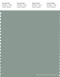 PANTONE SMART 16-5806X Color Swatch Card, Green Milieu