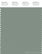 PANTONE SMART 16-5807X Color Swatch Card, Lily Pad