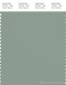 PANTONE SMART 16-5808X Color Swatch Card, Iceberg Green