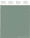 PANTONE SMART 16-5810X Color Swatch Card, Green Bay