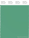 PANTONE SMART 16-5820X Color Swatch Card, Green Spruce