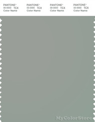 PANTONE SMART 16-5904X Color Swatch Card, Wrought Iron