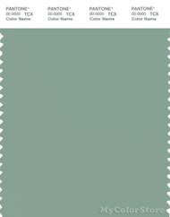 PANTONE SMART 16-5907X Color Swatch Card, Granite Green