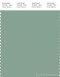 PANTONE SMART 16-5907X Color Swatch Card, Granite Green