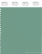 PANTONE SMART 16-5917X Color Swatch Card, Malachite Green