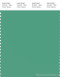 PANTONE SMART 16-5924X Color Swatch Card, Winter Green