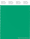 PANTONE SMART 16-5938X Color Swatch Card, Mint