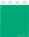 PANTONE SMART 16-5942X Color Swatch Card, Blarney