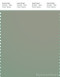 PANTONE SMART 16-6008X Color Swatch Card, Seagrass