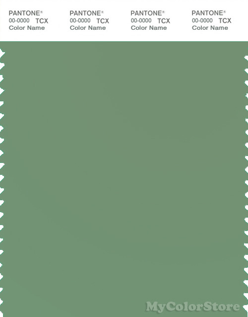 PANTONE SMART 16-6116X Color Swatch Card, Shale Green