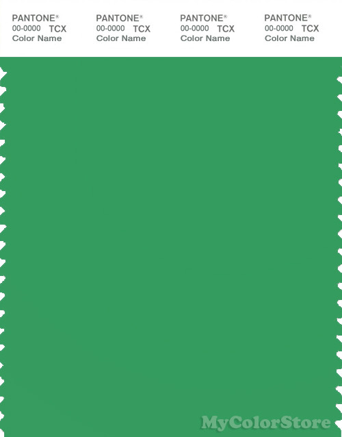 PANTONE SMART 166138 TCX Color Swatch Card Pantone Kelly Green