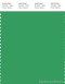 PANTONE SMART 16-6138X Color Swatch Card, Kelly Green