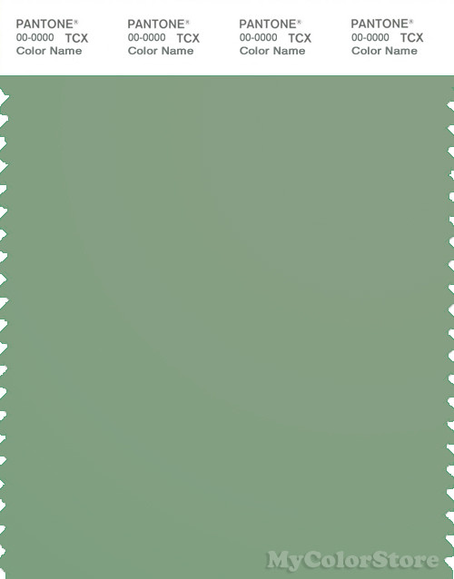 PANTONE SMART 16-6216X Color Swatch Card, Basil