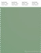 PANTONE SMART 16-6216X Color Swatch Card, Basil