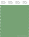PANTONE SMART 16-6324X Color Swatch Card, Jadesheen