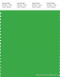 PANTONE SMART 16-6340X Color Swatch Card, Classic Green