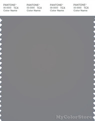 PANTONE SMART 17-0000X Color Swatch Card, Frost Gray