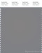 PANTONE SMART 17-0000X Color Swatch Card, Frost Gray