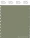 PANTONE SMART 17-0115X Color Swatch Card, Oil Green