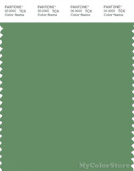 PANTONE SMART 17-0123X Color Swatch Card, Stone Green