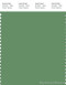 PANTONE SMART 17-0123X Color Swatch Card, Stone Green