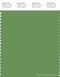 PANTONE SMART 17-0133X Color Swatch Card, Fluorite Green