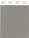 PANTONE SMART 17-0207X Color Swatch Card, Rock Ridge