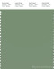 PANTONE SMART 17-0210X Color Swatch Card, Loden Frost