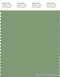 PANTONE SMART 17-0215X Color Swatch Card, Aspen Green