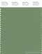 PANTONE SMART 17-0220X Color Swatch Card, Water Cress