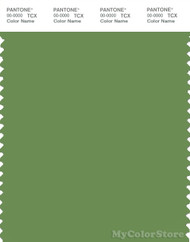 PANTONE SMART 17-0230X Color Swatch Card, Forest Green