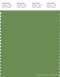 PANTONE SMART 17-0230X Color Swatch Card, Forest Green
