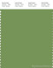 PANTONE SMART 17-0235X Color Swatch Card, Piquant Green