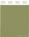 PANTONE SMART 17-0324X Color Swatch Card, Epsom