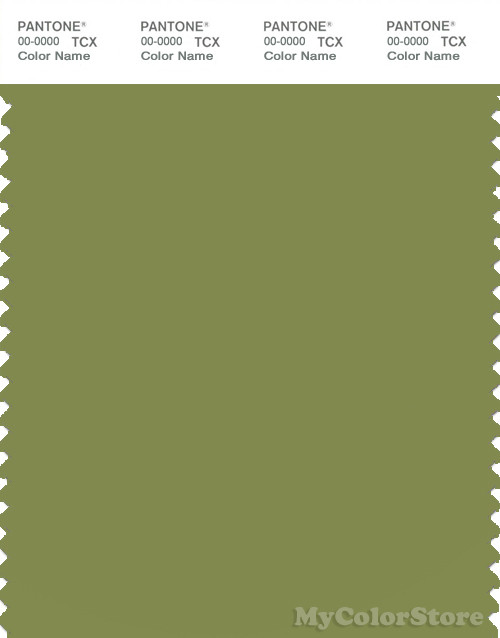 PANTONE SMART 17-0330X Color Swatch Card, Turtle Green