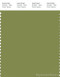 PANTONE SMART 17-0330X Color Swatch Card, Turtle Green