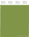 PANTONE SMART 17-0336X Color Swatch Card, Peridot