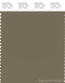 PANTONE SMART 17-0517X Color Swatch Card, Dusky Green