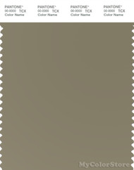 PANTONE SMART 17-0618X Color Swatch Card, Mermaid
