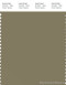 PANTONE SMART 17-0620X Color Swatch Card, Aloe
