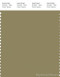 PANTONE SMART 17-0625X Color Swatch Card, Boa