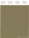 PANTONE SMART 17-0627X Color Swatch Card, Dried Herb