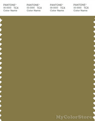 PANTONE SMART 17-0636X Color Swatch Card, Green Moss