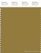 PANTONE SMART 17-0836X Color Swatch Card, Ecru Olive