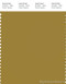 PANTONE SMART 17-0840X Color Swatch Card, Amber Green